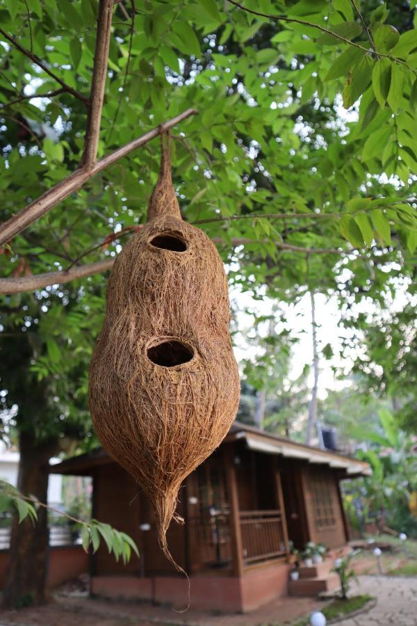GreenChromide Homestays Mundrothuruth Buitenkant foto
